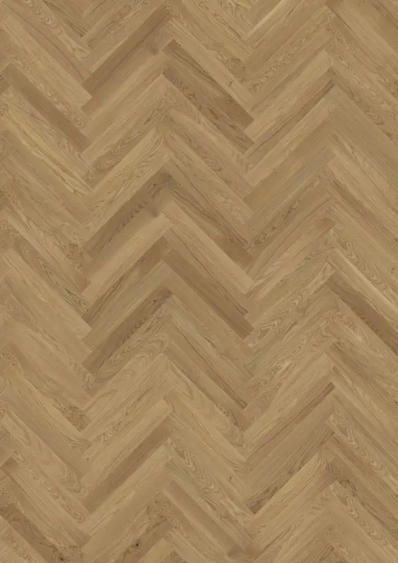 OAK STUDIO CD HB OILED