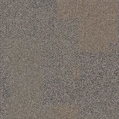 Entropy - Mesquite
