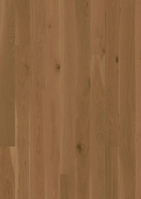 OAK LATTE