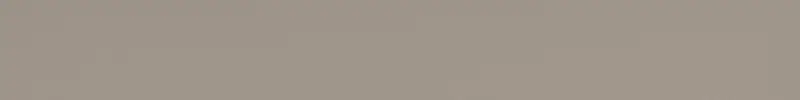 Centura Wall Tiles Faces Grey Liso Matte 2" x 16"