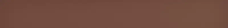Centura Wall Tiles Faces Henna Liso Matte 2" x 16"
