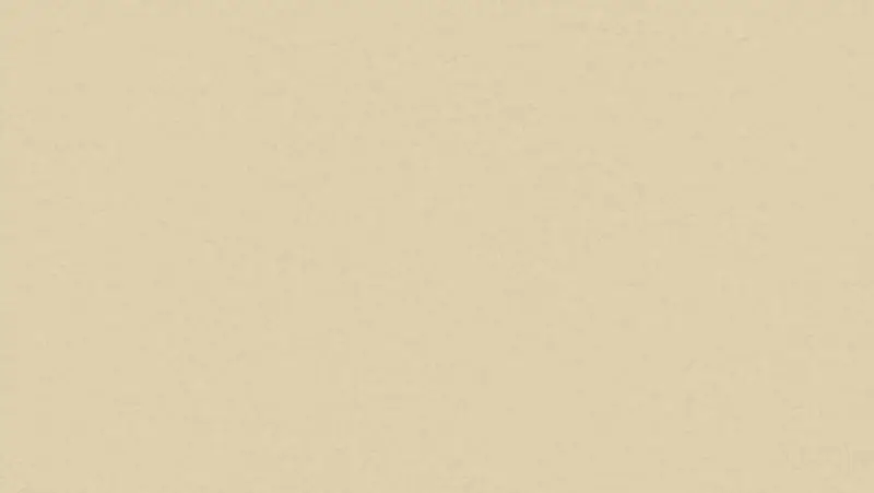 Tarkett - Linoleum Sheet LinoFloor xf² Originale #408 Raffia 6'6" - 2.5 mm (Sold in Sqyd)