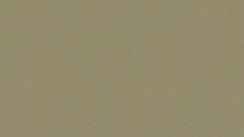 Tarkett - Linoleum Sheet LinoFloor xf² Originale #495 Lichen 6'6" - 2.5 mm (Sold in Sqyd)