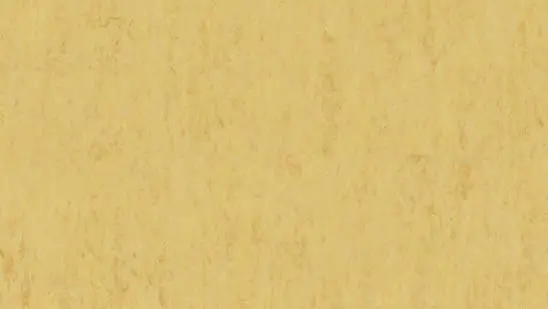 Tarkett - Linoleum Sheet LinoFloor xf² Veneto #612 Corn 6'6" - 2.5 mm (Sold in Sqyd)