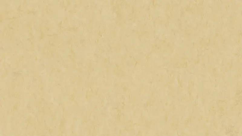 Tarkett - Linoleum Sheet LinoFloor xf² Veneto #619 Eggshell 6'6" - 2.5 mm (Sold in Sqyd)