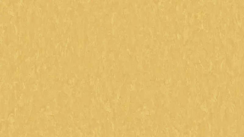 Tarkett - Linoleum Sheet LinoFloor xf² Veneto #628 Sunflower 6'6" - 2.5 mm (Sold in Sqyd)