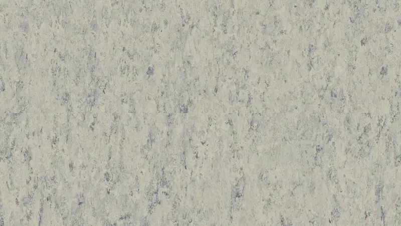 Tarkett - Linoleum Sheet LinoFloor xf² Veneto #684 Platinium 6'6" - 2.5 mm (Sold in Sqyd)