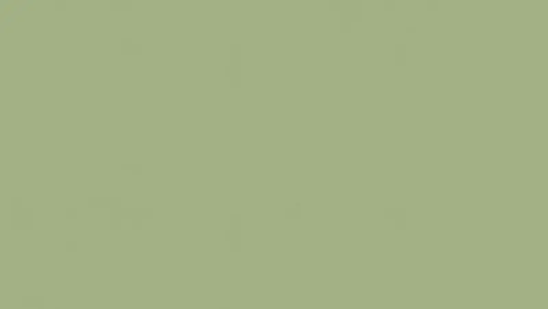 Tarkett - Linoleum Sheet LinoFloor xf² Etrusco #55 Olive 6'6" - 2.5 mm (Sold in Sqyd)
