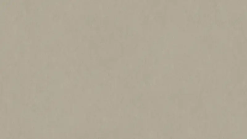 Tarkett - Linoleum Sheet LinoFloor xf² Emme #201 Cenere 6'6" - 2.5 mm (Sold in Sqyd)
