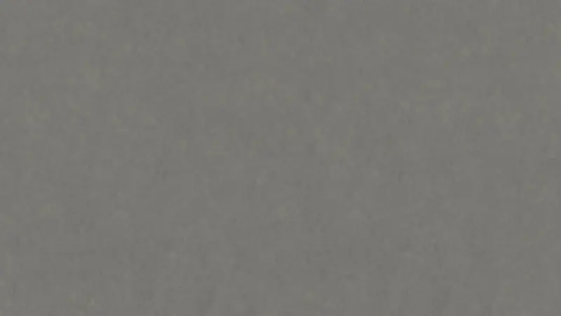 Tarkett - Linoleum Sheet LinoFloor xf² Emme #205 Ferro 6'6" - 2.5 mm (Sold in Sqyd)