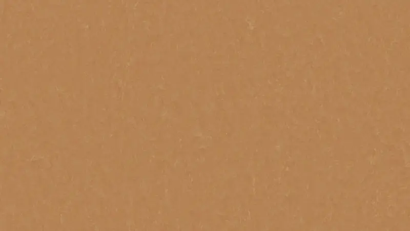 Tarkett - Linoleum Sheet LinoFloor xf² Emme #734 Fox 6'6" - 2.5 mm (Sold in Sqyd)