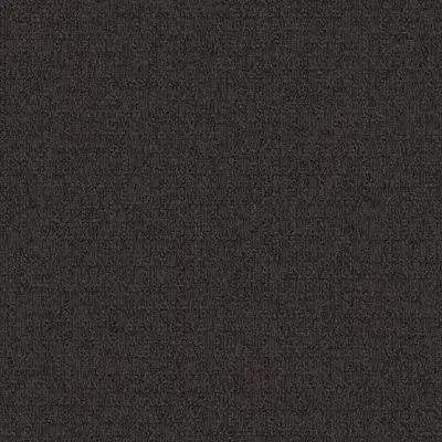 Monochrome - Umber