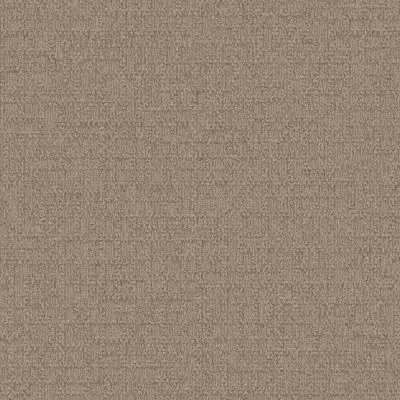 Monochrome - Caraway