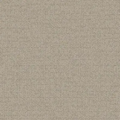 Monochrome - Cream