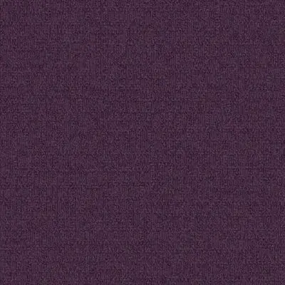 Monochrome - Eggplant