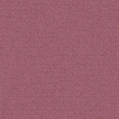 Monochrome - Very Berry