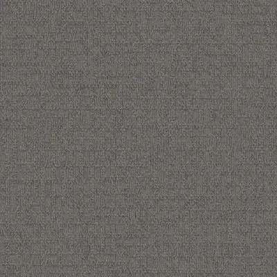 Monochrome - Felt