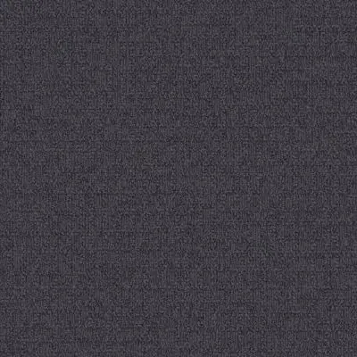 Monochrome - Navy