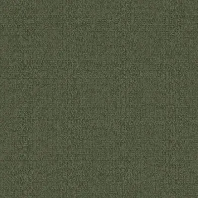 Monochrome - Yew