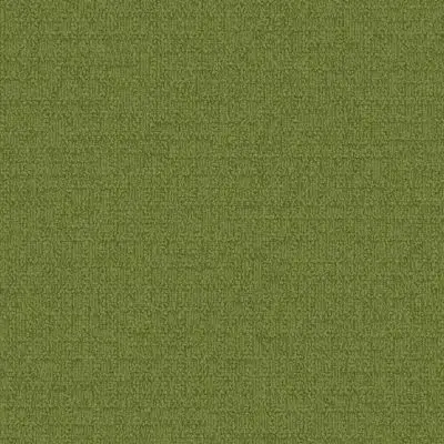 Monochrome - Asparagus