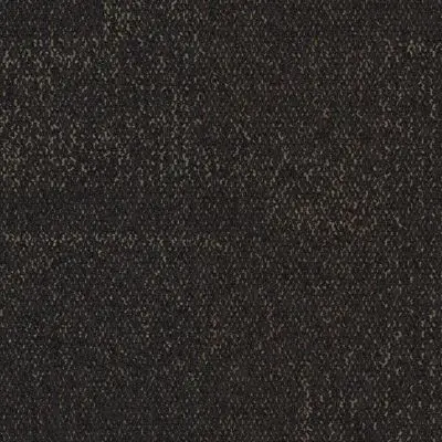Profile - Lofty