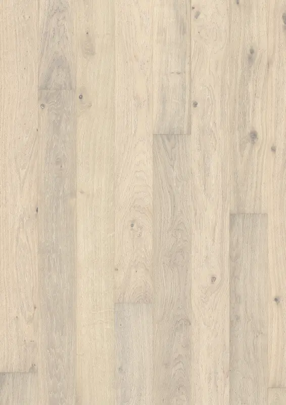 OAK NOUVEAU BLONDE