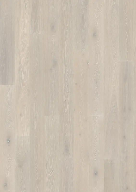 OAK NOUVEAU SNOW