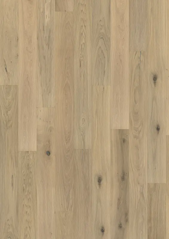 OAK NOUVEAU WHISPER