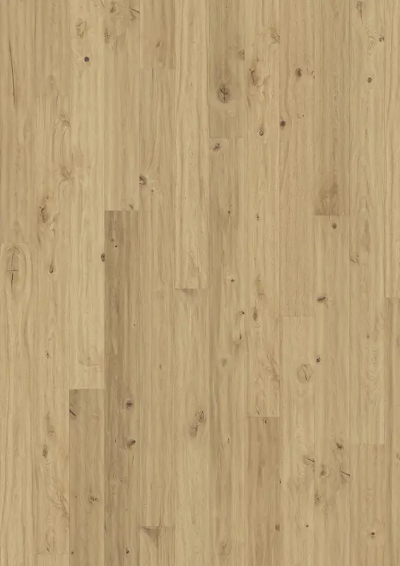 OAK KLINTA