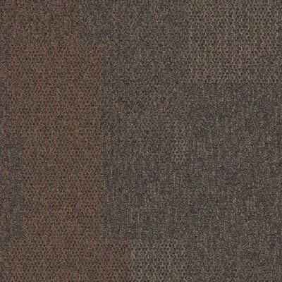 The Standard - Spice