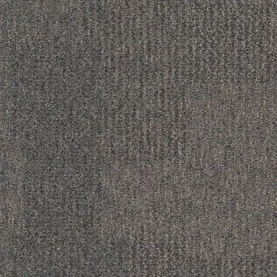 The Standard - Shale