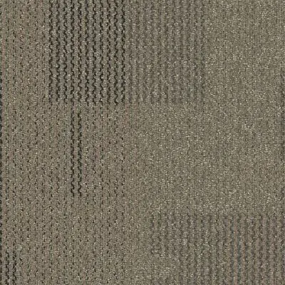 The Standard - Magma