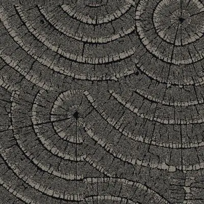 EE710 - Basalt