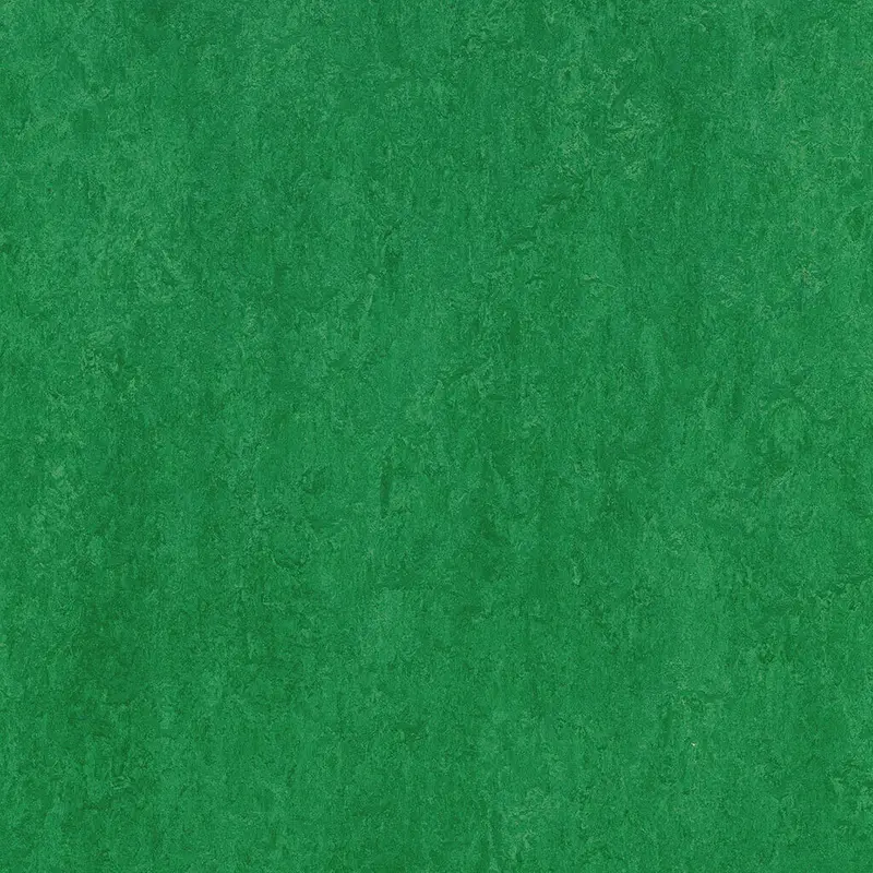 Forbo Marmoleum Tiles MCT Moss 13-1/8" x 13-1/8"