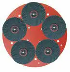Raimondi Blade with Five Abrasive Flap Discs Silicon Carbide 16 Grit for Ipertitina 19-1/4"