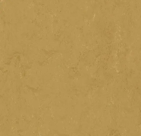 Forbo Marmoleum Tiles Modular Accent Linseed 10" x 10"