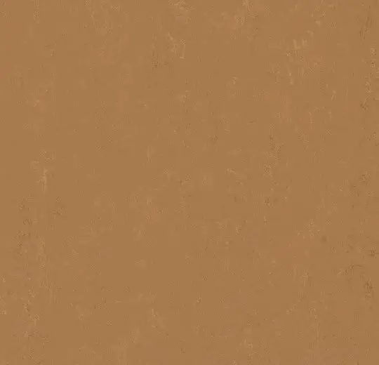 Forbo Marmoleum Tiles Modular Accent Tiger'S Eye 10" x 10"