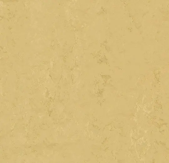 Forbo Marmoleum Tiles Modular Accent Corn Silk 10" x 10"
