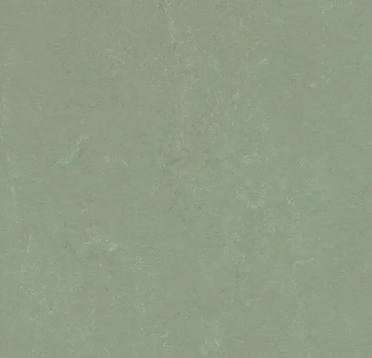 Forbo Marmoleum Tiles Modular Accent Pine Forest 10" x 10"