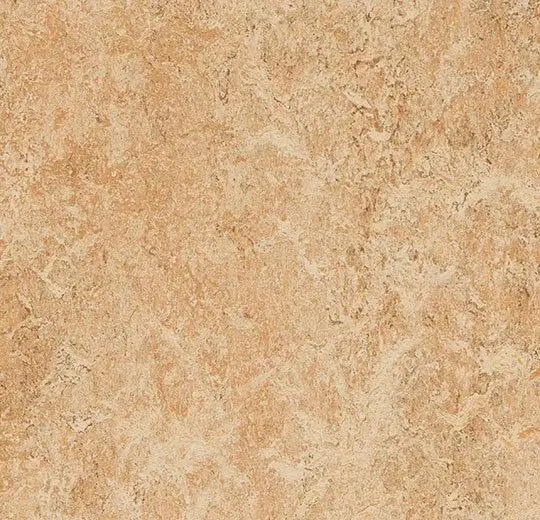 Forbo Marmoleum Roll Decibel On Order Shell 74-13/16" - 3.5 mm (Sold in Sqyd)