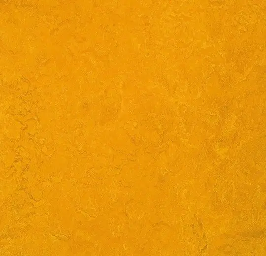 Forbo Marmoleum Roll Decibel On Order Golden Sunset 74-13/16" - 3.5 mm (Sold in Sqyd)