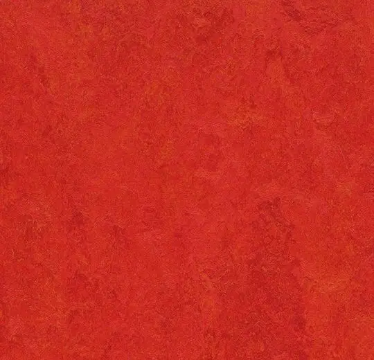 Forbo Marmoleum Roll Decibel On Order Scarlet 74-13/16" - 3.5 mm (Sold in Sqyd)