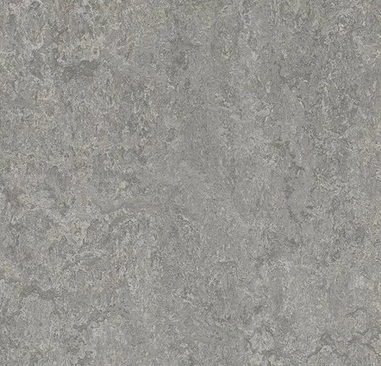 Forbo Marmoleum Roll Decibel On Order Serene Grey 74-13/16" - 3.5 mm (Sold in Sqyd)