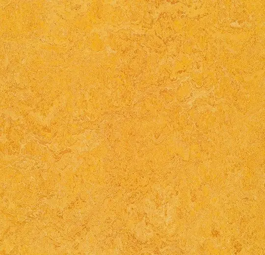 Forbo Marmoleum Roll Decibel On Order Dandelion 74-13/16" - 3.5 mm (Sold in Sqyd)