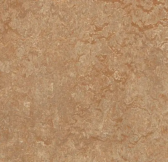 Forbo Marmoleum Roll Decibel On Order Shitake 74-13/16" - 3.5 mm (Sold in Sqyd)