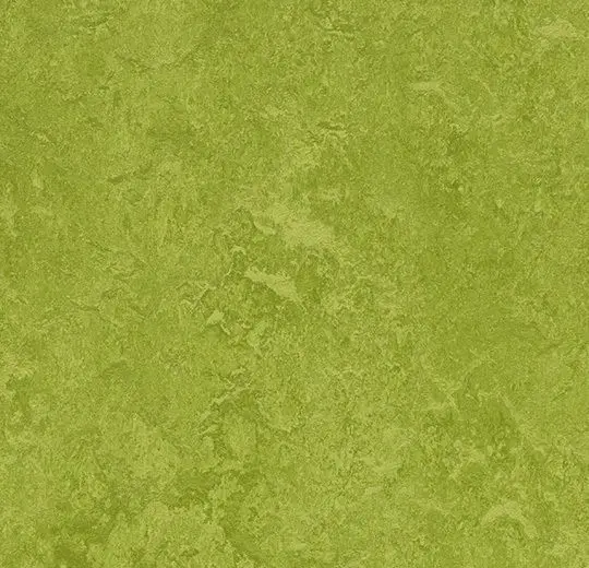 Forbo Marmoleum Roll Decibel On Order Green 74-13/16" - 3.5 mm (Sold in Sqyd)