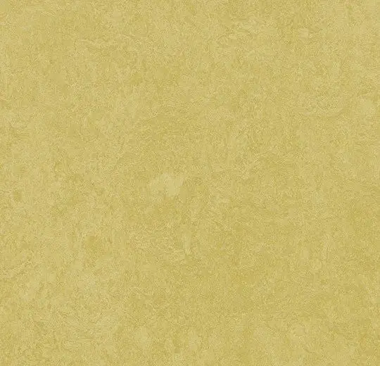 Forbo Marmoleum Roll Decibel On Order Mustard 74-13/16" - 3.5 mm (Sold in Sqyd)