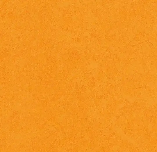 Forbo Marmoleum Roll Decibel On Order Marigold 74-13/16" - 3.5 mm (Sold in Sqyd)