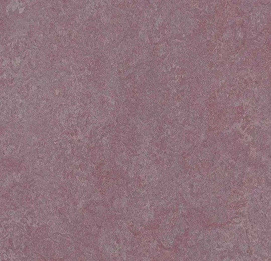 Forbo Marmoleum Roll Decibel On Order Plum 74-13/16" - 3.5 mm (Sold in Sqyd)