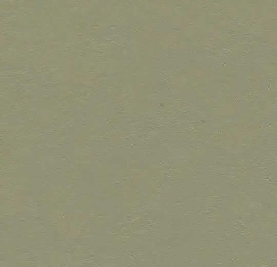 Forbo Marmoleum Roll Decibel On Order Rosemary Green 74-13/16" - 3.5 mm (Sold in Sqyd)